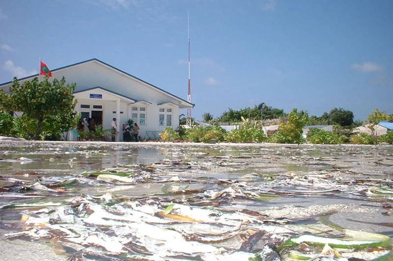 Maldives, black swans and the unknown